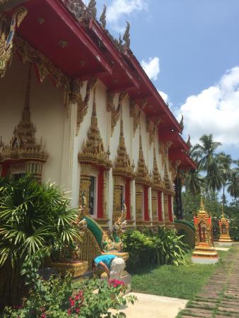Thomas Koch Travel and Adventure